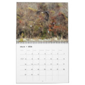 Dam Eagles Kalender (Mär 2026)