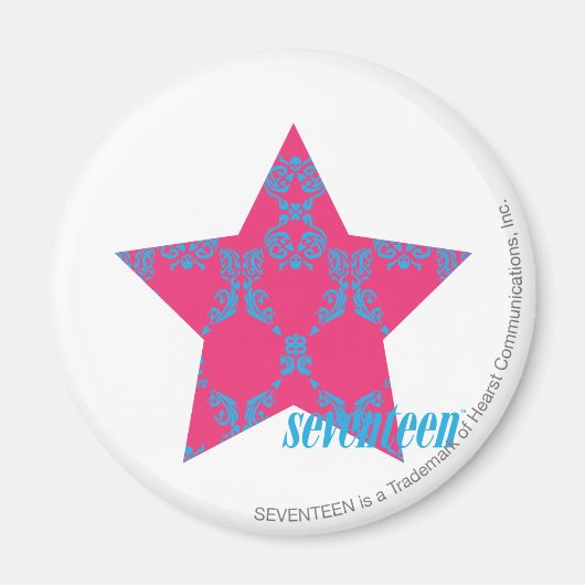 Damask Aqua-Magenta 2 Magnet (Vorne)