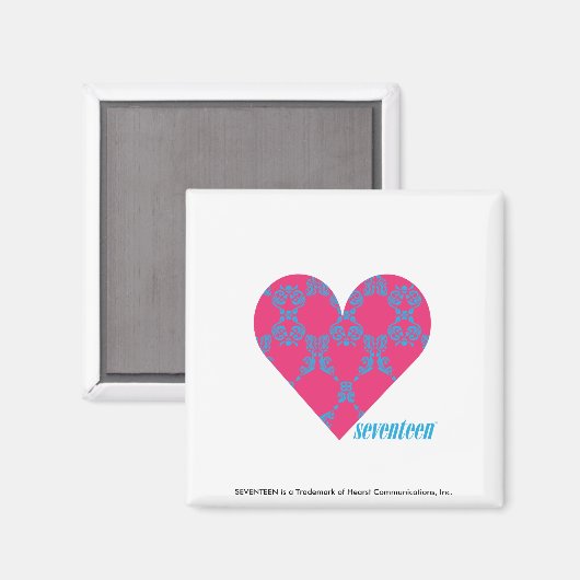 Damask Aqua-Magenta 4 Magnet (Vorderseite/Rückseite)