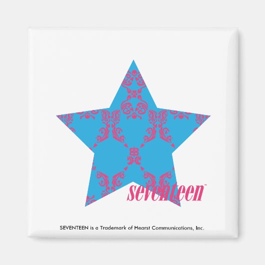 Damask Magenta-Aqua 2 Magnet (Vorne)