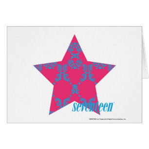 Damast Aqua-Magentarote 2