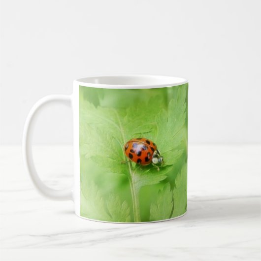 Dame Bug auf Feverfew Blatt Kaffeetasse (Links)