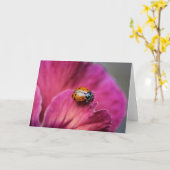 Dame Bug Karte (Gelbe Blume)