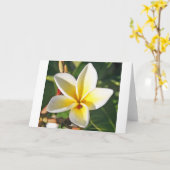 Dame Bug mit Plumeriagrußkarte Karte (Gelbe Blume)