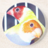 Dame Gouldian Finch Sandstein Untersetzer (Vorne)
