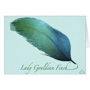 Dame Gouldian Finch Tail