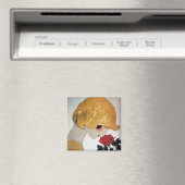 DAME MIT ROTER ROSE MAGNET (In Situ (Geschirrspüler))