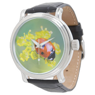 Dame oben armbanduhr