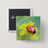 Dame oben button (Vorne & Hinten)