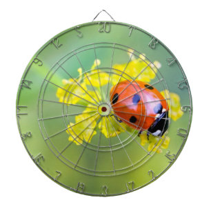 Dame oben dartscheibe