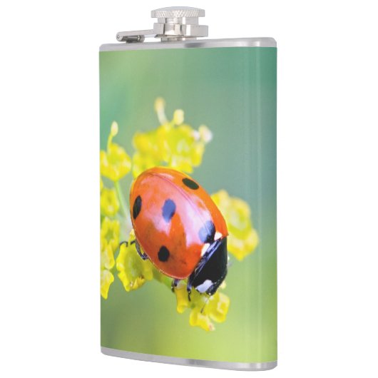 Dame oben flachmann (Links)