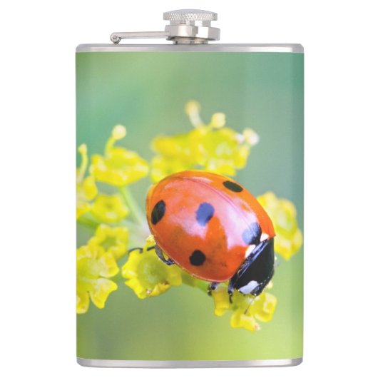 Dame oben flachmann (Vorderseite)