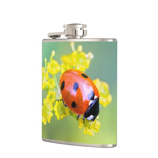 Dame oben flachmann (Links)