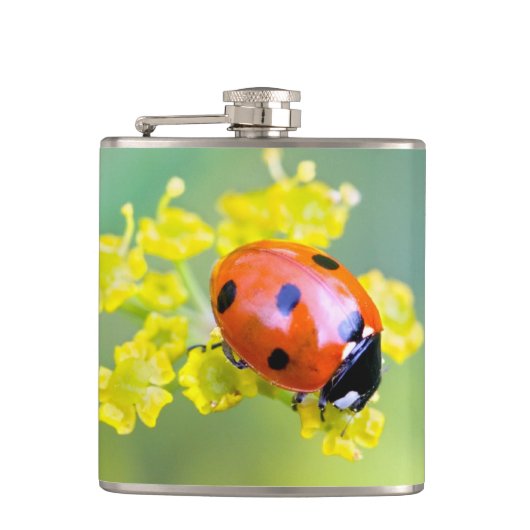 Dame oben flachmann (Vorderseite)