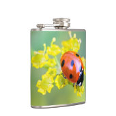 Dame oben flachmann (Rechts)