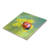 Dame oben fliese (Seite)