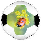 Dame oben fußball (Gedreht)