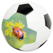 Dame oben fußball (Dreiviertel)
