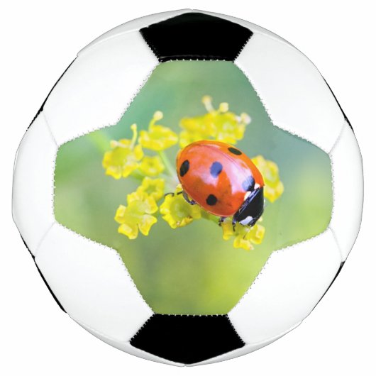 Dame oben fußball (Vorderseite)