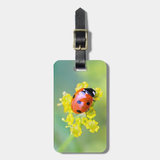 Dame oben gepäckanhänger (Vorderseite vertikal)