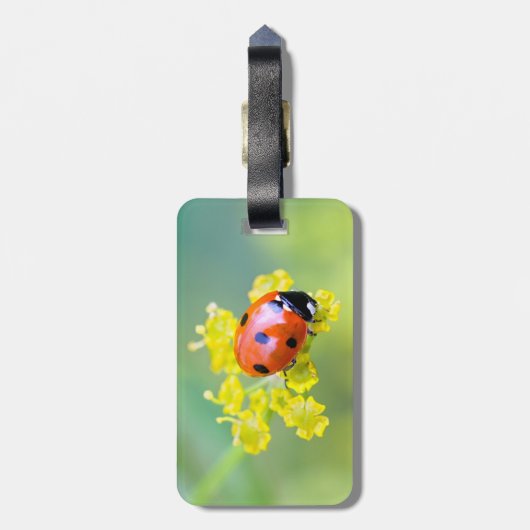 Dame oben gepäckanhänger (Rückseite vertikal)