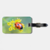 Dame oben gepäckanhänger (Rückseite horizontal)