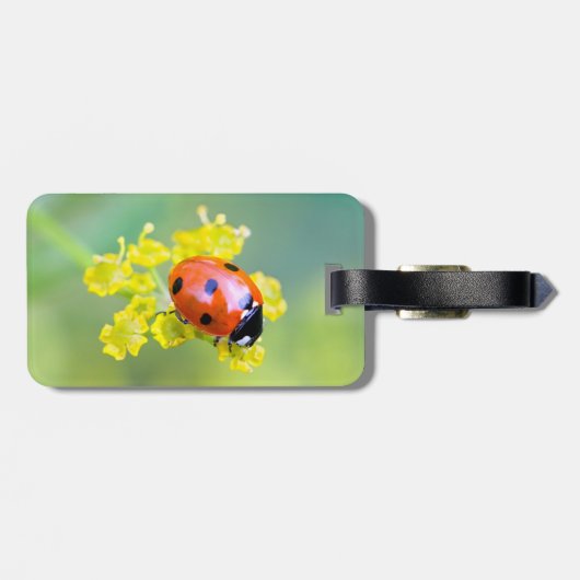 Dame oben gepäckanhänger (Rückseite horizontal)