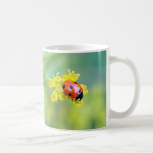 Dame oben kaffeetasse