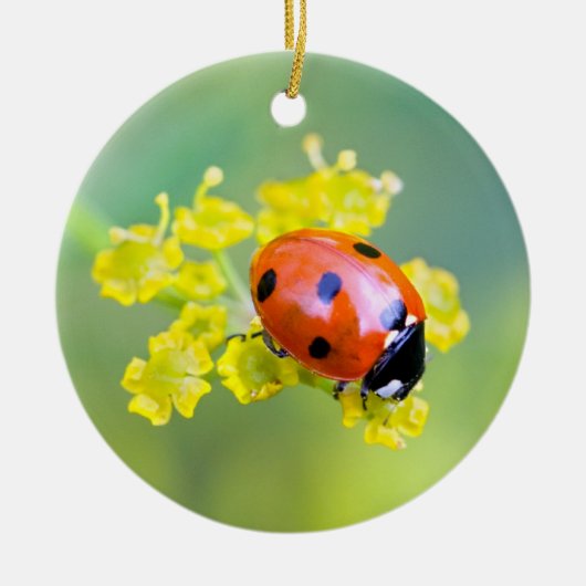 Dame oben keramik ornament (Vorne)