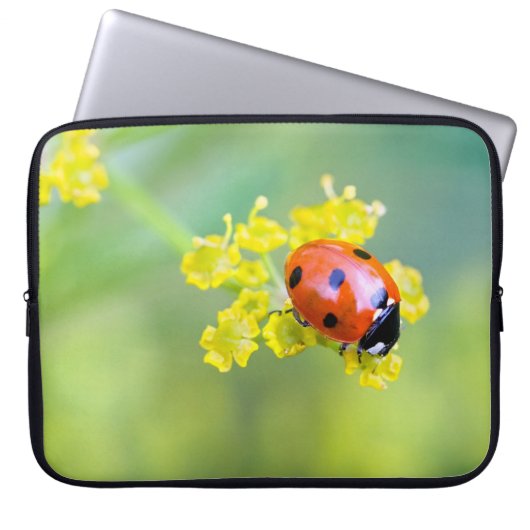 Dame oben laptopschutzhülle (Vorderseite)