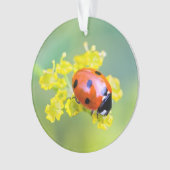 Dame oben ornament (Vorderseite)