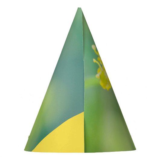 Dame oben partyhütchen (Rückseite)