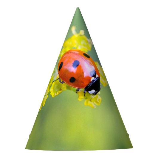 Dame oben partyhütchen (Vorderseite)