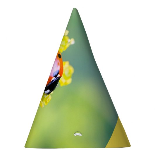 Dame oben partyhütchen (Rechts)