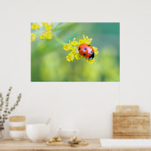 Dame oben poster (Küche)