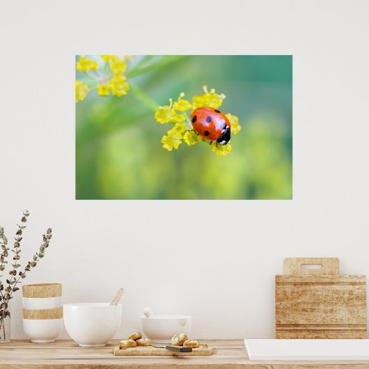 Dame oben poster (Küche)