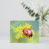 Dame oben postkarte (Stehend Vorderseite)