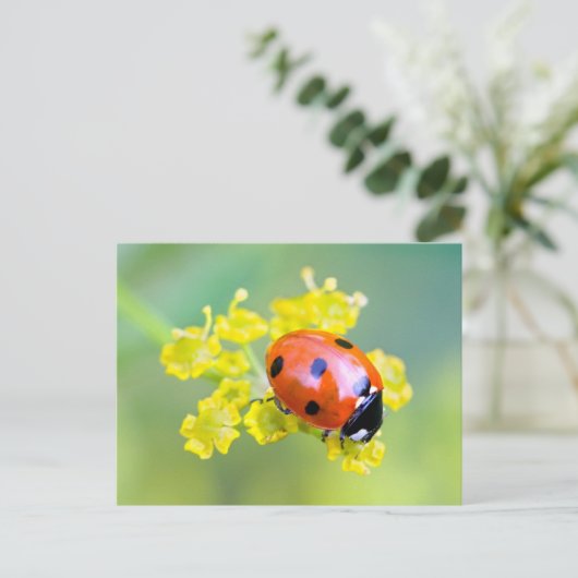 Dame oben postkarte (Stehend Vorderseite)