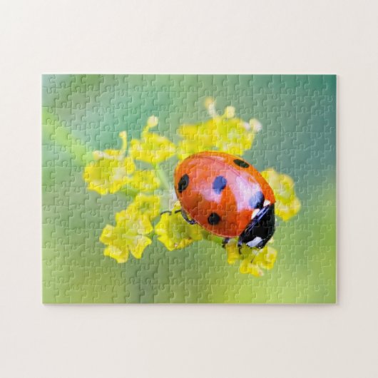 Dame oben puzzle (Horizontal)