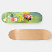 Dame oben skateboard (Horizontal)