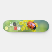 Dame oben skateboard (Horizontal)