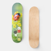 Dame oben skateboard (Vorderseite)
