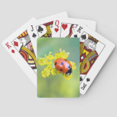 Dame oben spielkarten (Rückseite)