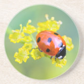 Dame oben untersetzer (Vorne)