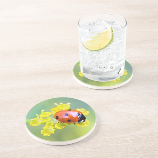 Dame oben untersetzer (Seite)