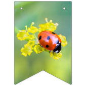 Dame oben wimpelkette (Dritte Fahne)