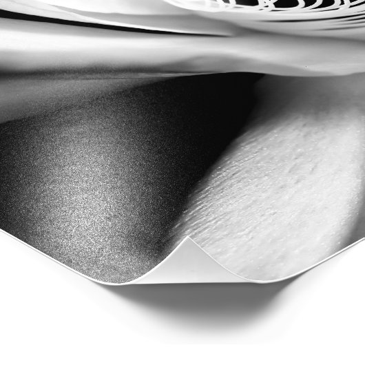 Dame of the Night nah-up in Black and White Fotodruck (Ecke)