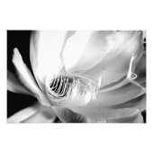 Dame of the Night nah-up in Black and White Fotodruck (Vorne)