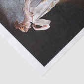 Dame Seidenpapier (Ausschnitt)