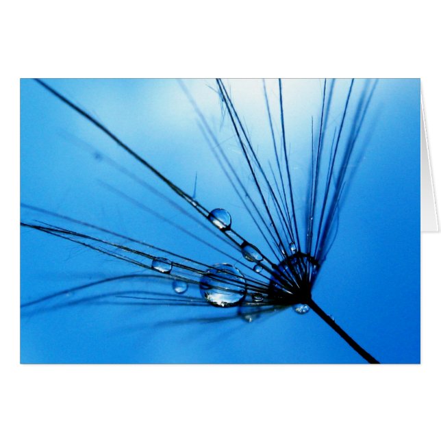 Dame Sings The Blues Card (Vorderseite (Horizontal))